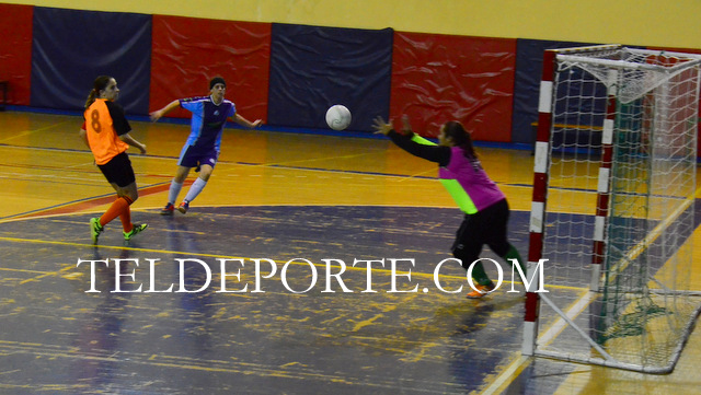 FAYCAN 2 VALLIRANA 3 FUTSAL FEME TEM 16-17 SEG 156