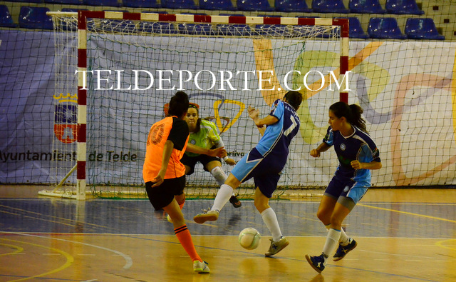 FAYCAN 2 VALLIRANA 3 FUTSAL FEME TEM 16-17 SEG 262