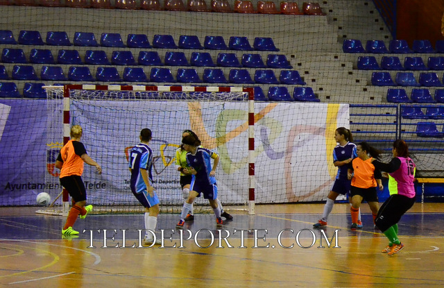 FAYCAN 2 VALLIRANA 3 FUTSAL FEME TEM 16-17 SEG 335