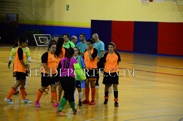 FAYCAN 2 VALLIRANA 3 FUTSAL FEME TEM 16-17 SEG 342